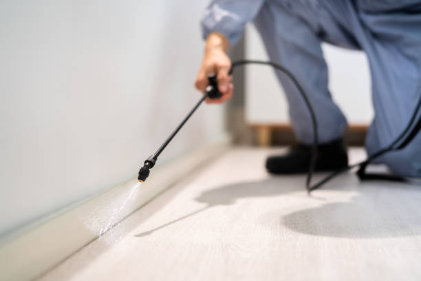 Licensed Pest Control service in Basking Ridge, NJ - Show Me Pest Control