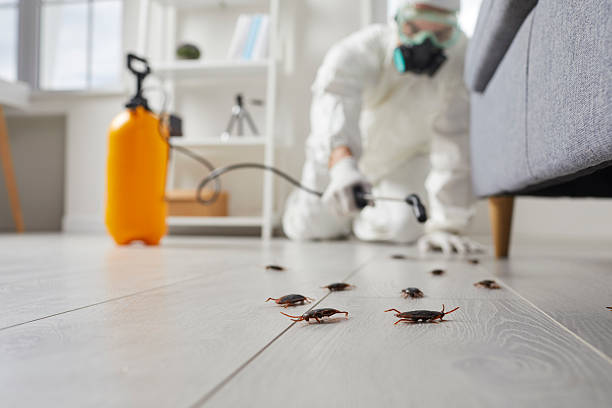 Commercial Kitchen Cockroach Control in Basking Ridge